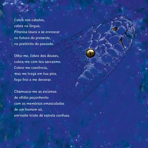 Ser ou não sereia - Image 6